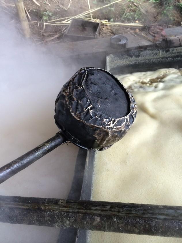 On the way to the waterfall, we stopped in the village to learn how panela (similar to dark brown sugar) is made!