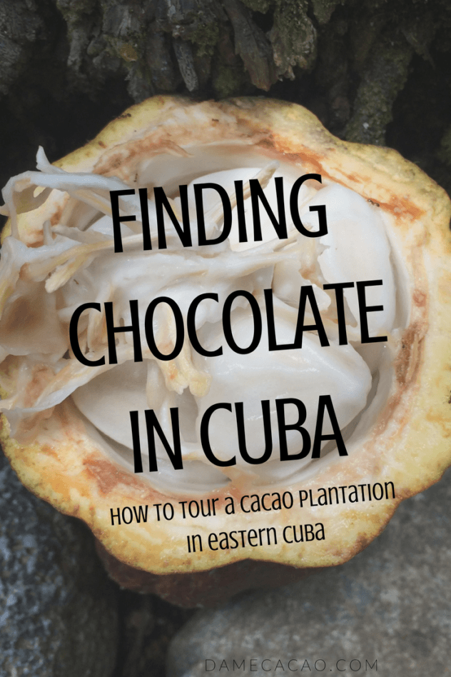 Yes, Cuba DOES grow chocolate! Well, it grows cacao, the raw material for chocolate, and then makes #chocolate on the island. Where can you try some? | #cacao #cuba #chocolate #baracoa #food #foodie #travel