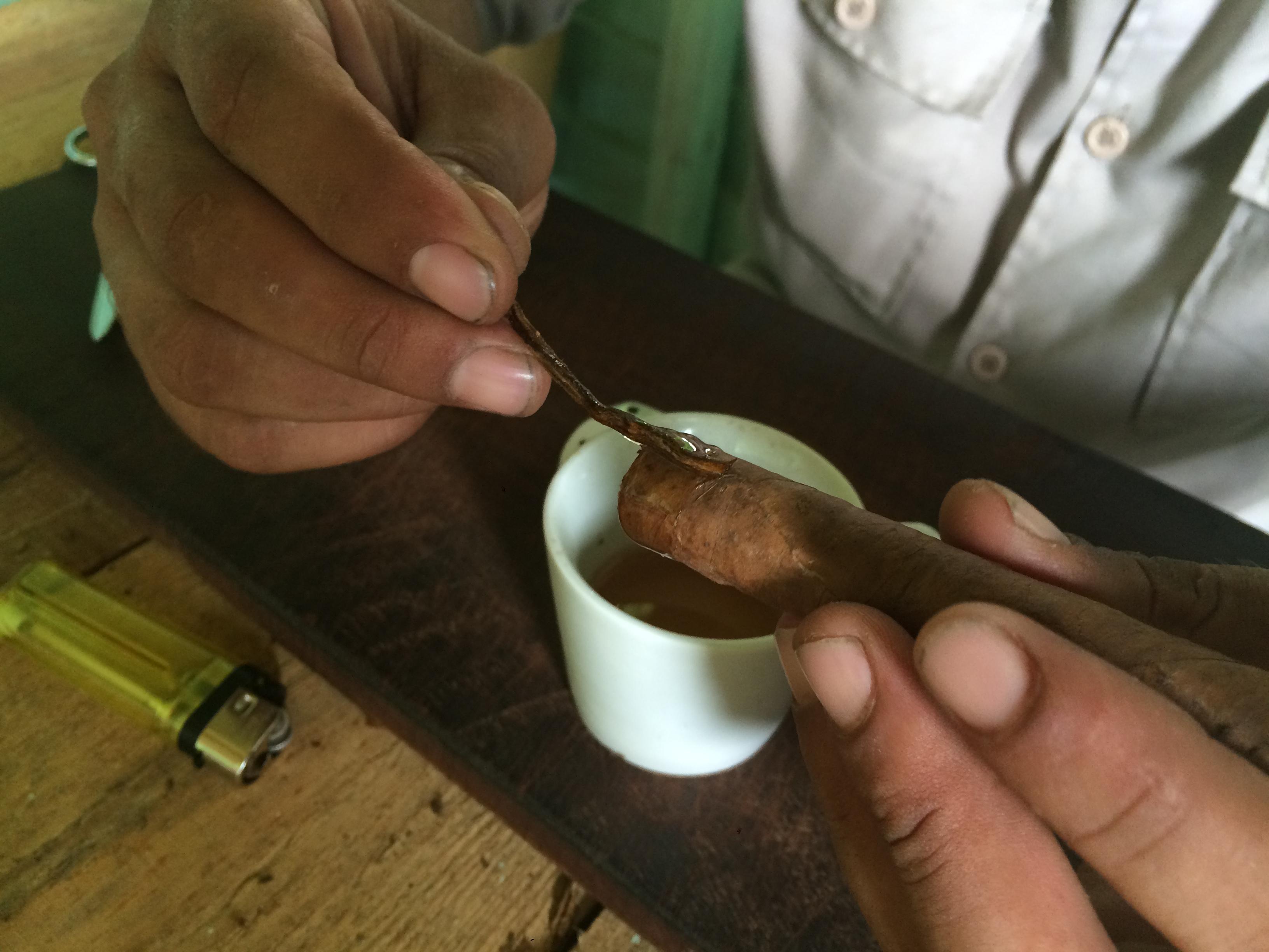 Discovering Cigars on Horseback in Viñales Cuba hand rolled cigar painting honey