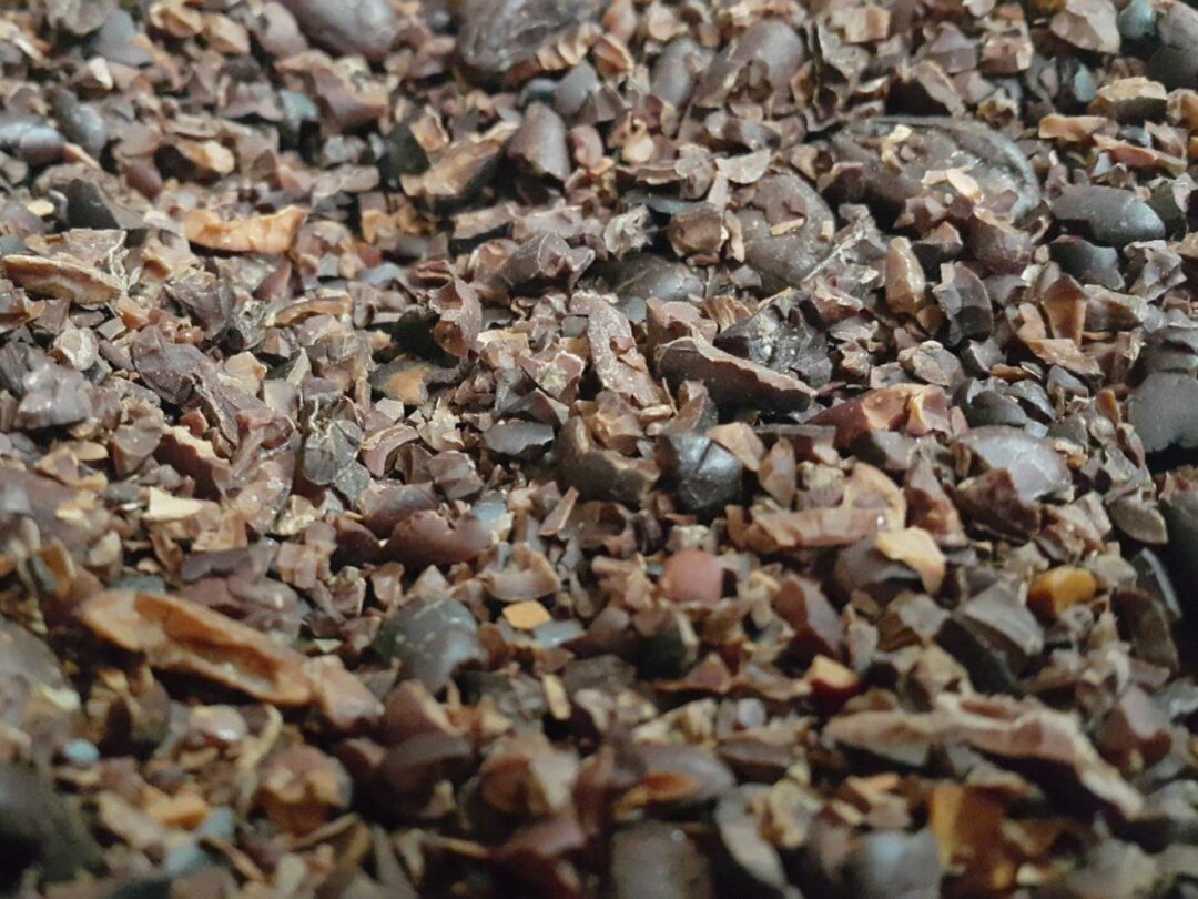 Why Is There Lead in Chocolate? (& How Much)