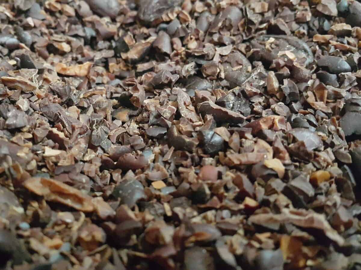 Why Is There Lead in Chocolate? (& How Much)