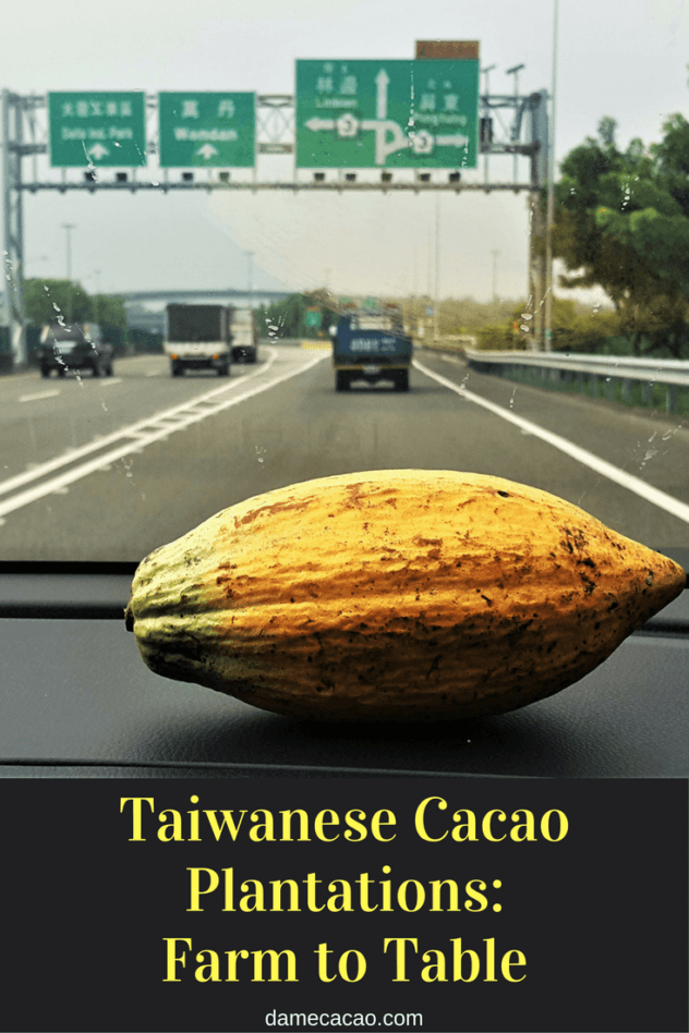 Looking for a unique trip in Taiwan? Then visit one of the country's many cacao plantations, where they grow the raw material for chcolate-- and you can even taste it!| #chocolate #chocolat #travel #guide #asia #southeast #taiwan #unique #activity #activities #foodie #daytrip #craft #cacao #cocoa #beans #plantation #pintung #kenting