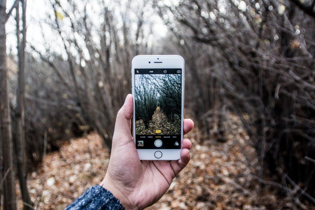 Taking picture of fall trees with iphone