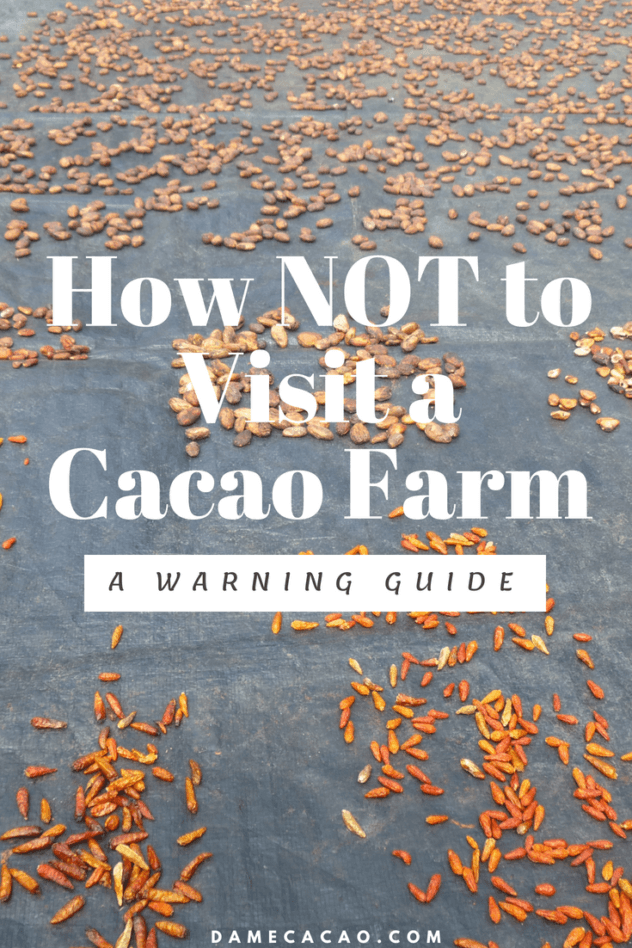 What's your biggest regret in life? One of mine is from when I was a teenager, and I visited a cacao plantation for the first time... | #cacao #cocoa #travel #chocolate #chocolat #guatemala #central #america #foodie #foods #must #try #unique #plantation #farm #how #made #biggest #regrets #long #term