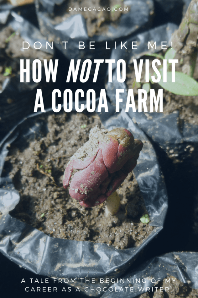 What's your biggest regret in life? One of mine is from when I was a teenager, and I visited a cacao plantation for the first time... | #cacao #cocoa #travel #chocolate #chocolat #guatemala #central #america #foodie #foods #must #try #unique #plantation #farm #how #made #biggest #regrets #long #term