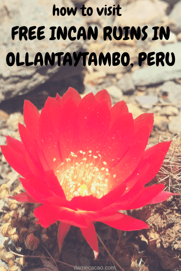 A guide to the almost-abandoned free ruins in Ollantaytambo, a town in Peru's Sacred Valley of the Incas. Beautiful and unpopulated? Sign me up! | #travel #peru #ollantaytambo #south #america #sacred #valley #ruins #unique #free #machu #picchu #incas #inca #things #experiences #to #do #archaeological #backpacking