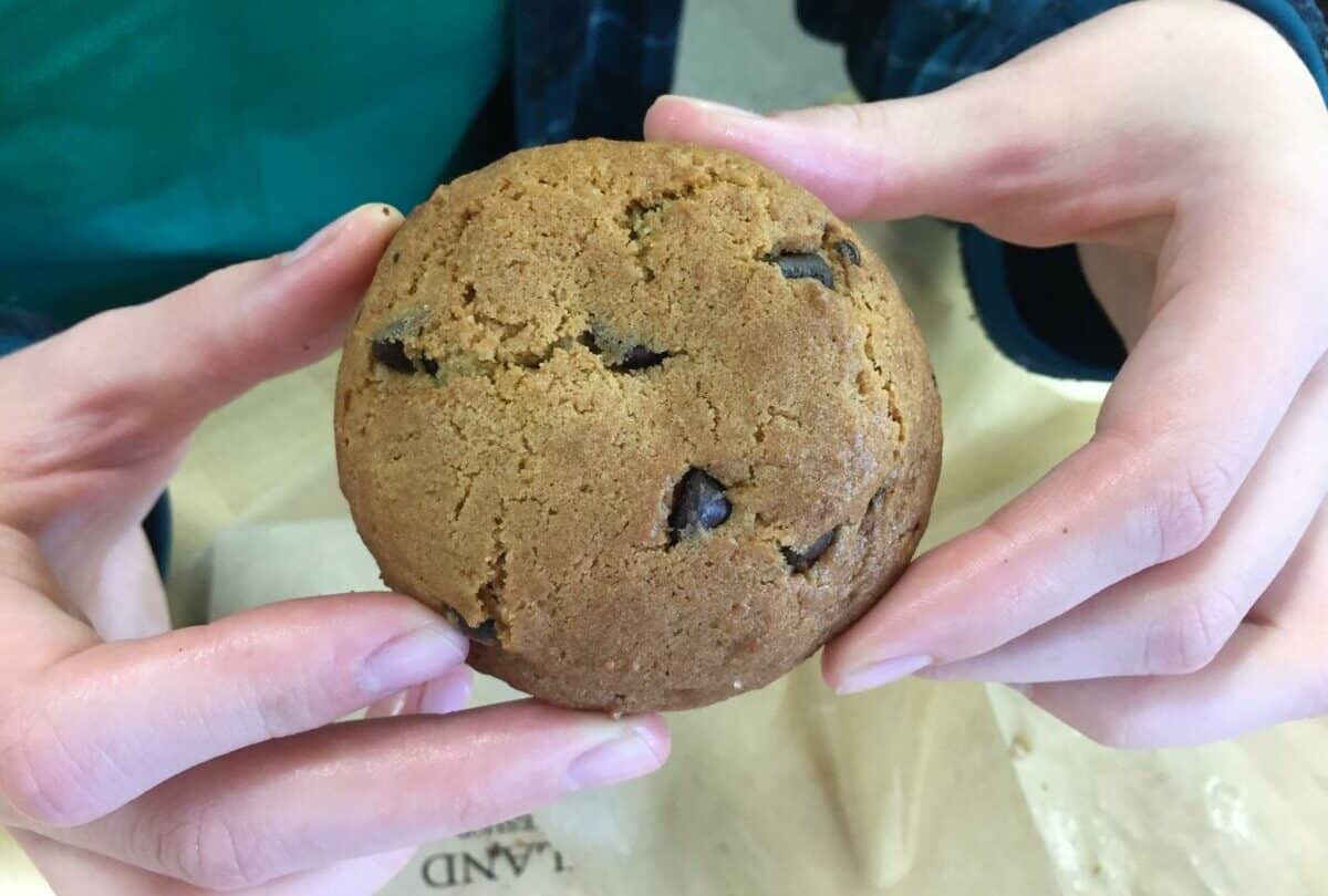 Fire Island Rustic Bakeshop Chocolate Chip Cookie