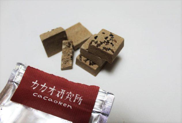 Japanese chocolate is some of the best in the world according to every international awards show, so how come it's so hard to find outside of Japan? Read all about the bean to bar movement in #Japan in this interview with Cacaoken! | #japan #cacaoken #foodie #foodies #japanese #travel #local #countryside #fukuoka #things #cocoa #do #unique #kids #asia #craft #chocolate #cacao #vietnam #beantobar