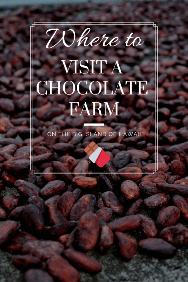 Hawaiian Chocolate: Big Island Cacao Farm Tours & Chocolate Shops pinterest pin with cacao beans