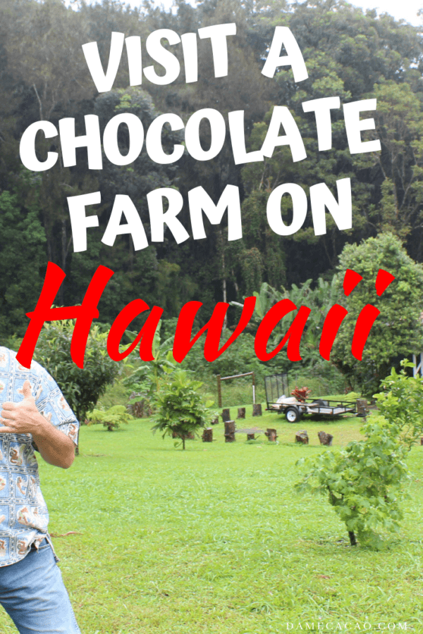 Hawaiian Chocolate Big Island Cacao Farm Tours & Shops