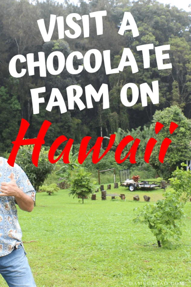 Hawaiian Chocolate: Big Island Cacao Farm Tours & Chocolate Shops pinterest pin with farm picture