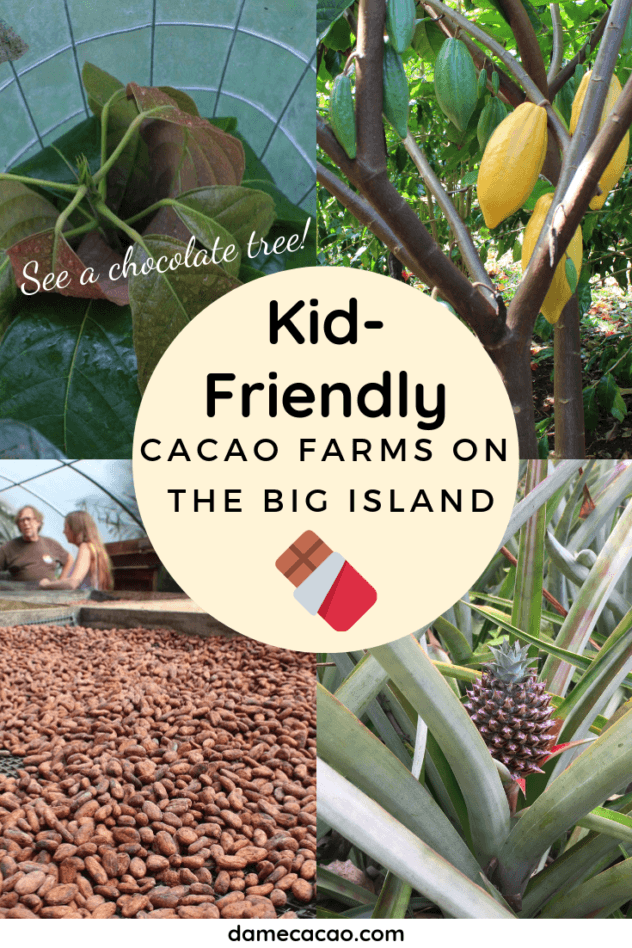 Hawaiian Chocolate: Big Island Cacao Farm Tours & Chocolate Shops pinterest pin with various farm photos