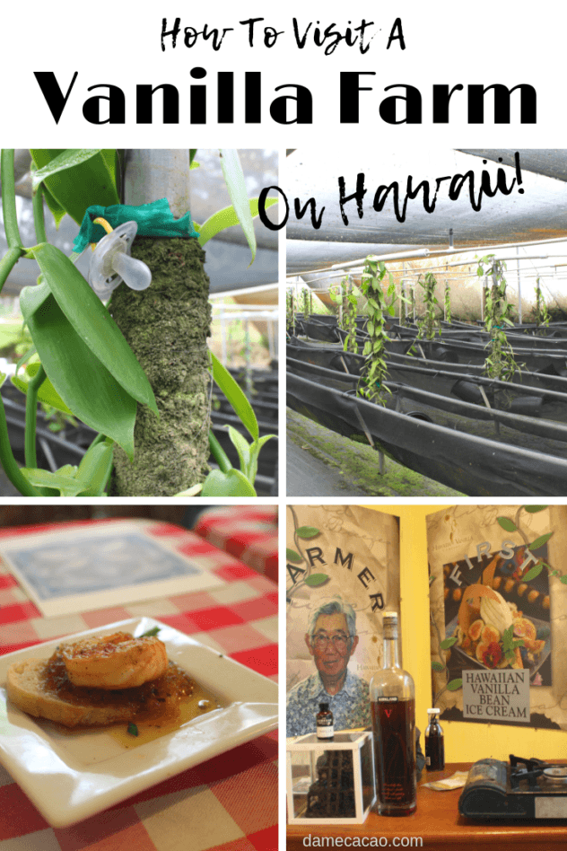 Hawaiian Vanilla Company Tour pinterest pin 2 with farm pictures