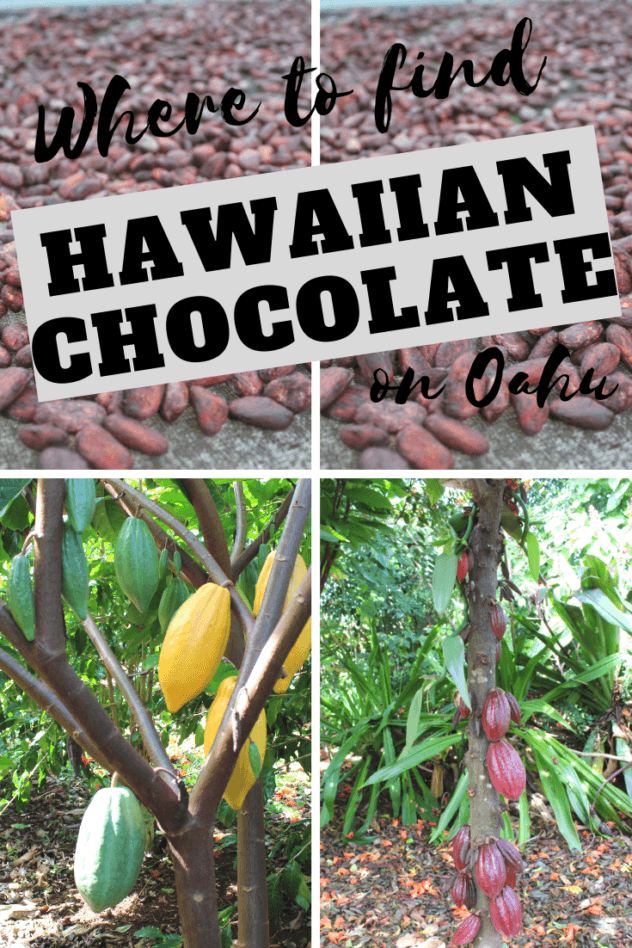 Hawaiian Chocolate: Big Island Cacao Farm Tours & Chocolate Shops pinterest pin 1 with various farm photos
