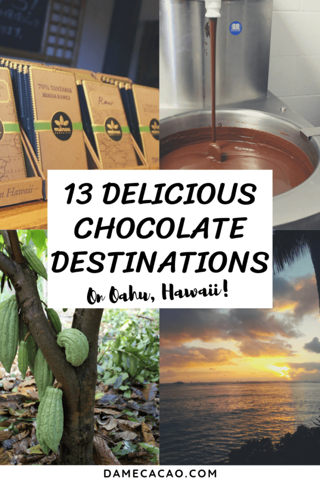 Hawaiian Chocolate: Big Island Cacao Farm Tours & Chocolate Shops pinterest pin 2 with various farm photos