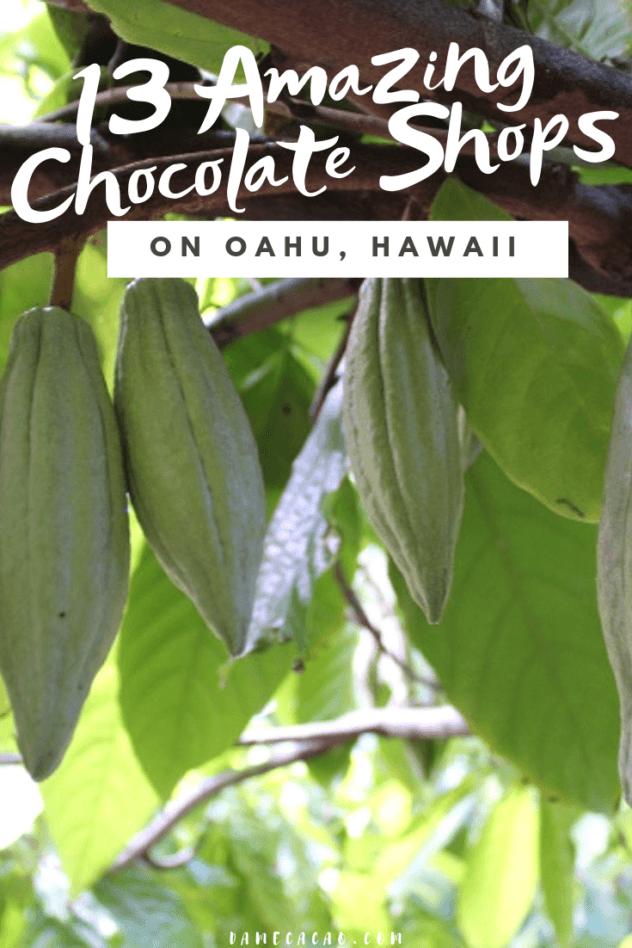 Hawaiian Chocolate: Big Island Cacao Farm Tours & Chocolate Shops pinterest pin 3 with various farm photos