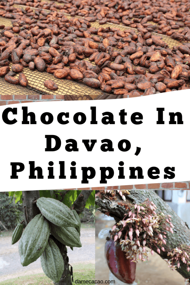 Davao Chocolate pinterest pin 2