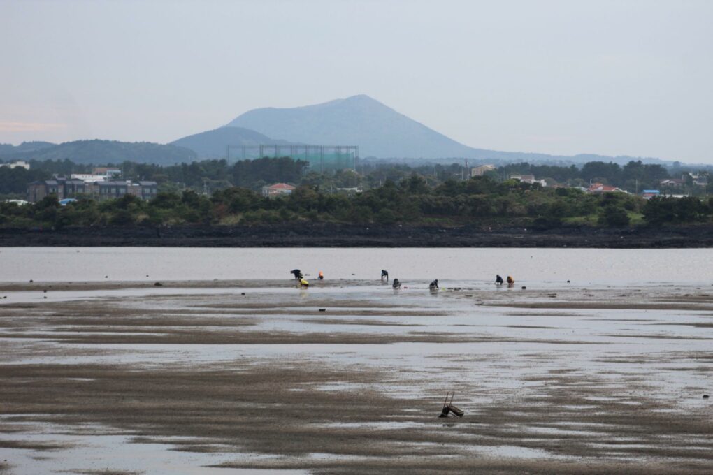 A view of Hallasan from the coast, visible even in fog. | #travel #korea #jeju #island #itinerary