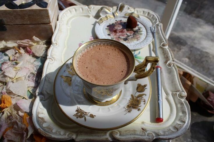 Hot Chocolate Without Cocoa Powder (Microwave Method)