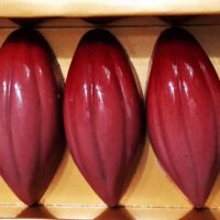 What Is Ruby Chocolate? How It's Made, Ruby Cocoa, & FAQ. Presquile Japan Ruby Pink Chocolate Bonbons 1 200x200 - What Is Ruby Chocolate? How It's Made, Ruby Cocoa, & FAQ.