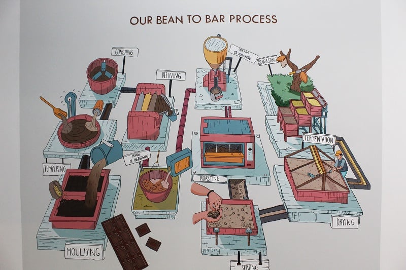 Infographic showing the bean to bar process of chocolate with detailed steps from cacao beans to finished product.