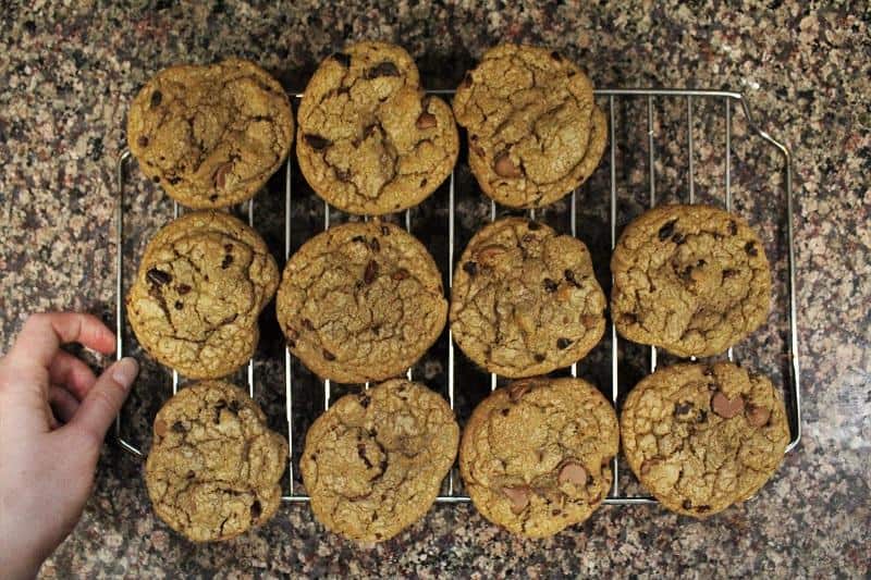 olden-brown cookies studded with cacao nibs, showcasing a healthy and indulgent treat.