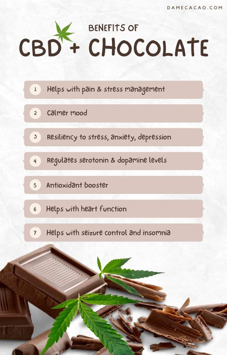 Infographic explaining the benefits of CBD in chocolate, highlighting how CBD enhances the taste and wellness benefits of your favorite treat.