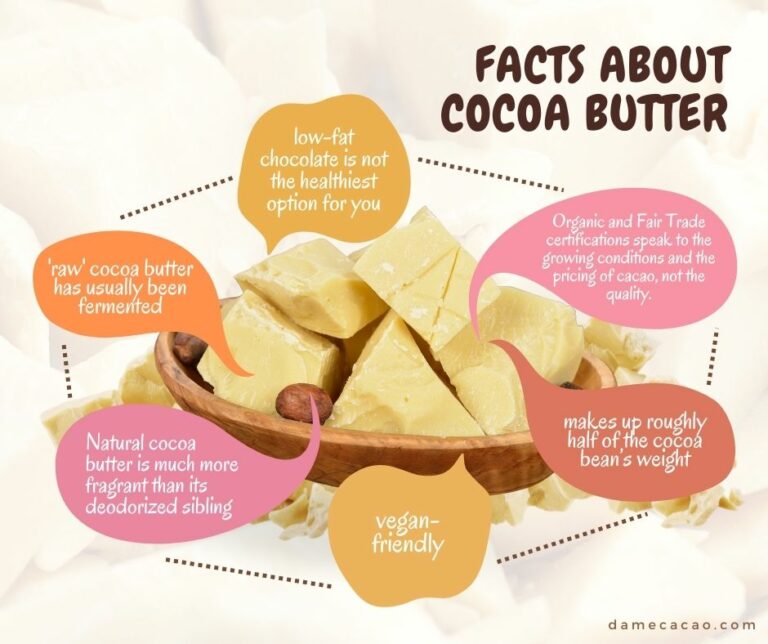What Is Cocoa Butter? (+ Expert Tips on How to Use It!)