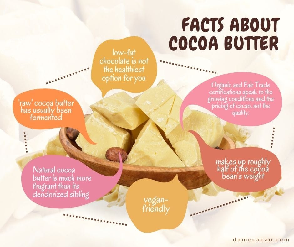 What Is Cocoa Butter? (+Expert Tips on How to Use It!)