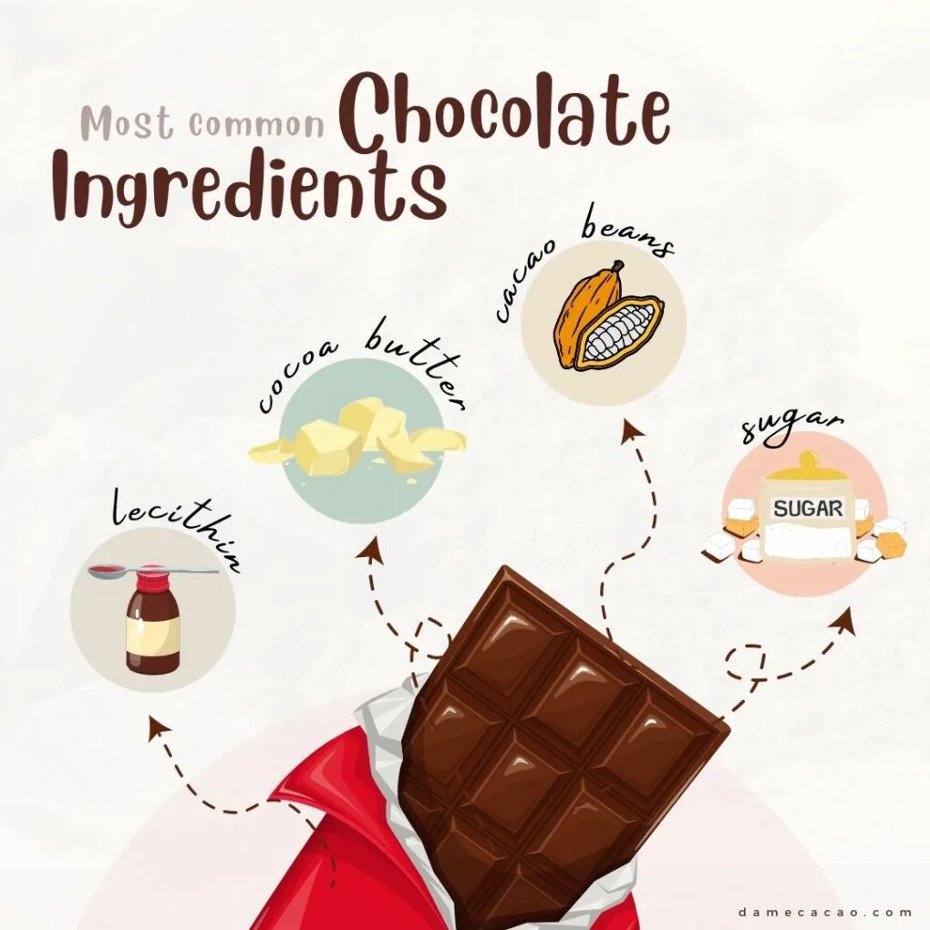 Complete Guide to The Ingredients In Chocolate