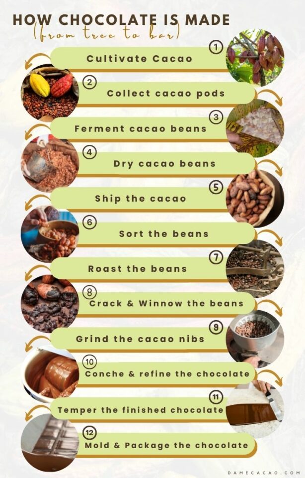 how-is-chocolate-made-12-steps-with-pictures