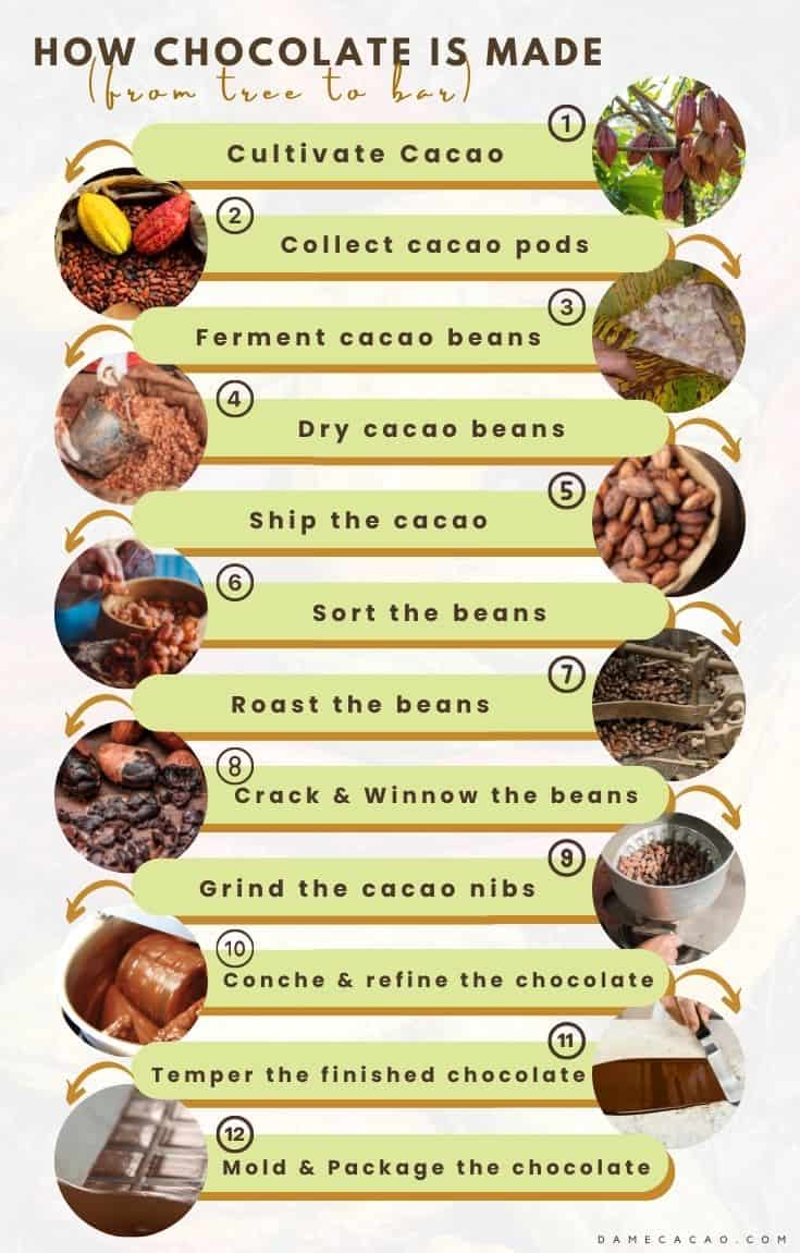 How is Chocolate Made? (12 Steps With Pictures)