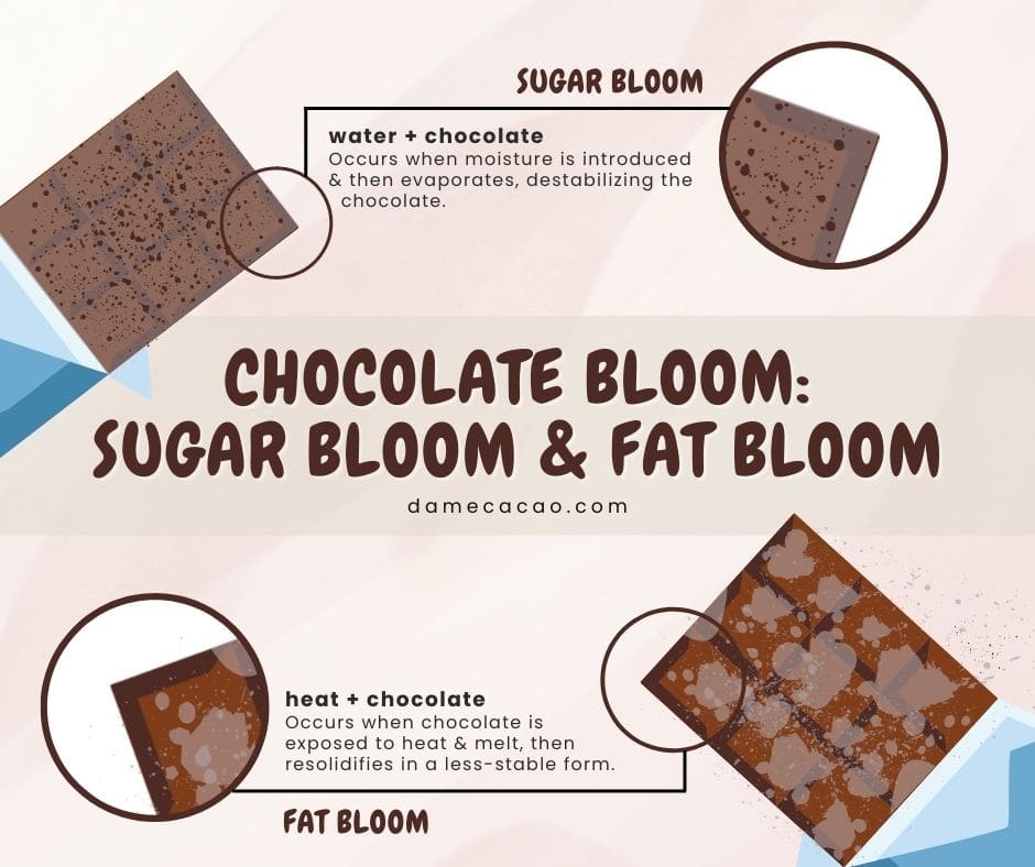 Gør alt med min kraft Luminans Drik Types of Chocolate Bloom (Sugar Bloom vs. Fat Bloom)