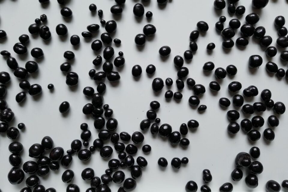 7 Best ChocolateCovered Coffee Beans (Real Reviews)