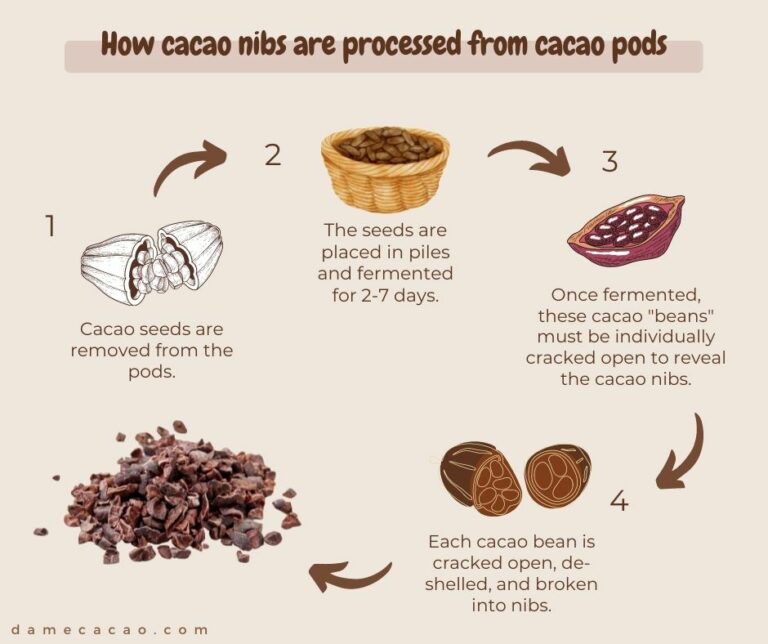 What Are Cacao Nibs? Benefits, Uses, and FAQ