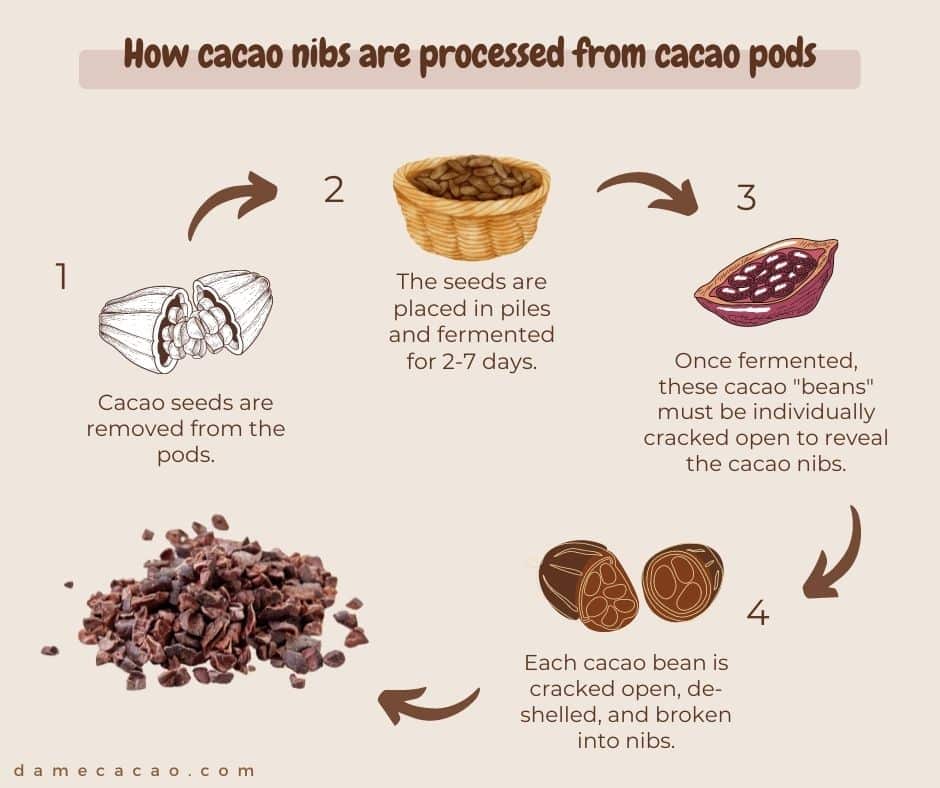 10 Reasons Why Having An Excellent cocoa beans Is Not Enough