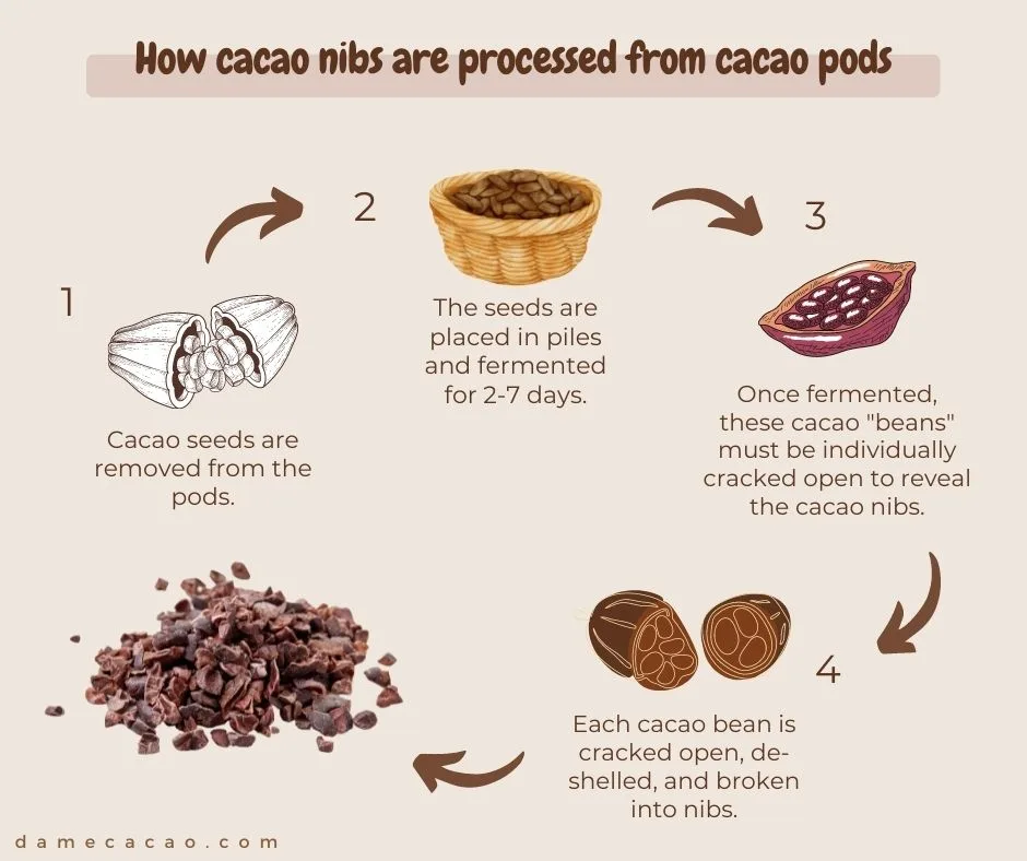 What Are Cacao Nibs? Nutrition, Benefits, Uses And Recipes, 55% OFF