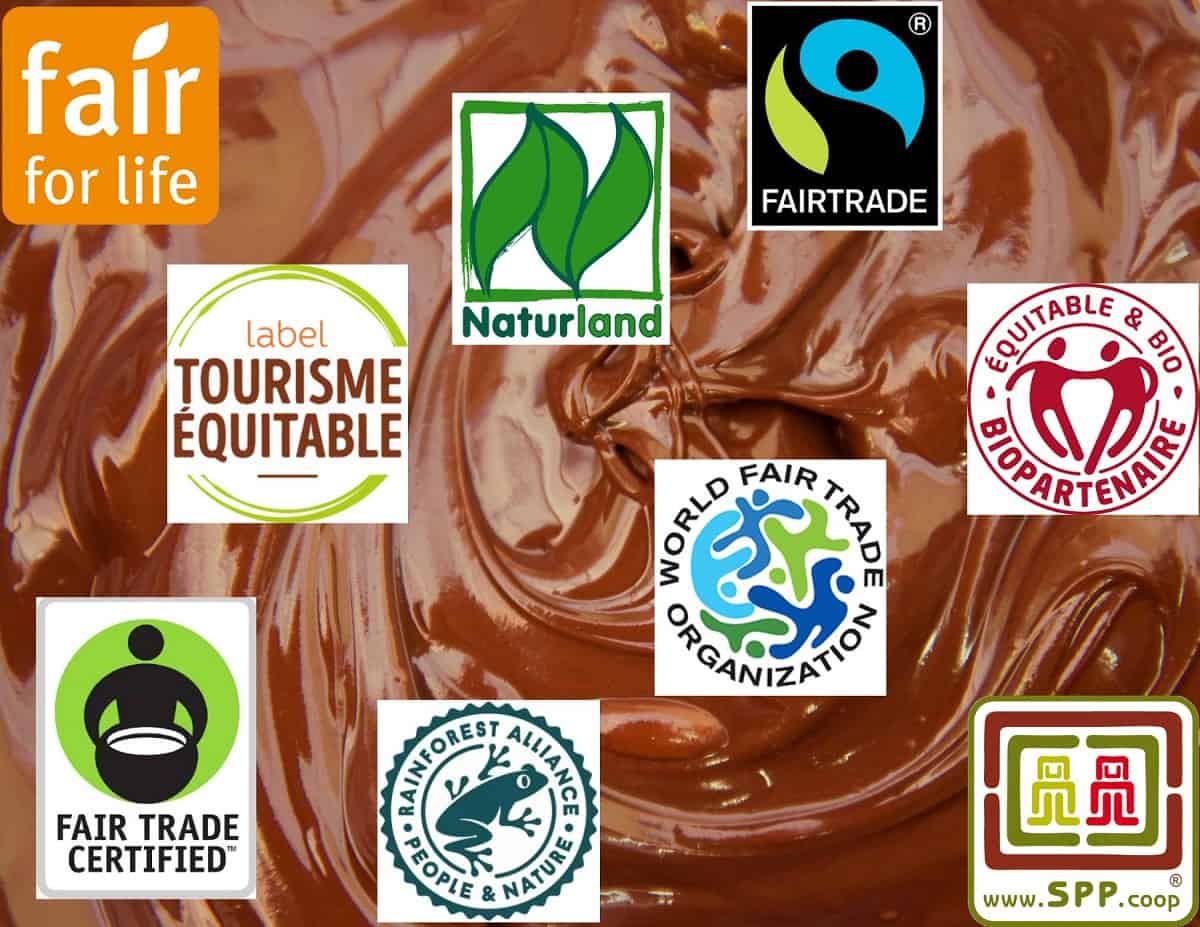 What Is Fair Trade Chocolate What All Those Labels Mean Dame Cacao