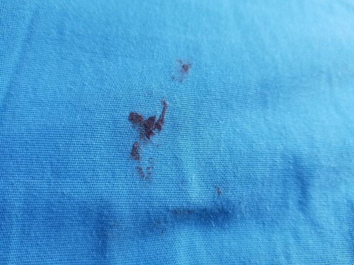 How to Remove Chocolate Stains From Anything (Expert Tips)