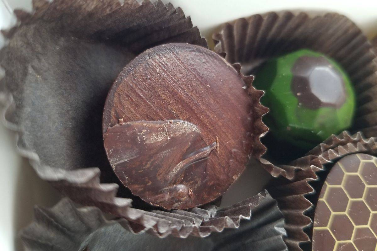 What Is Raw Chocolate (& Is it Better for You?)
