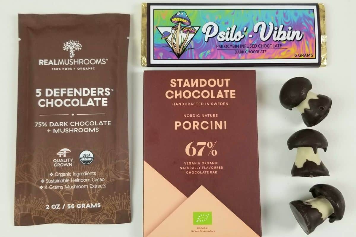 mushroom chocolate in 4 ways - functional mushroom chocolate, psilocybin chocolate, porcini chocolate, and mushroom-shaped chocolate.