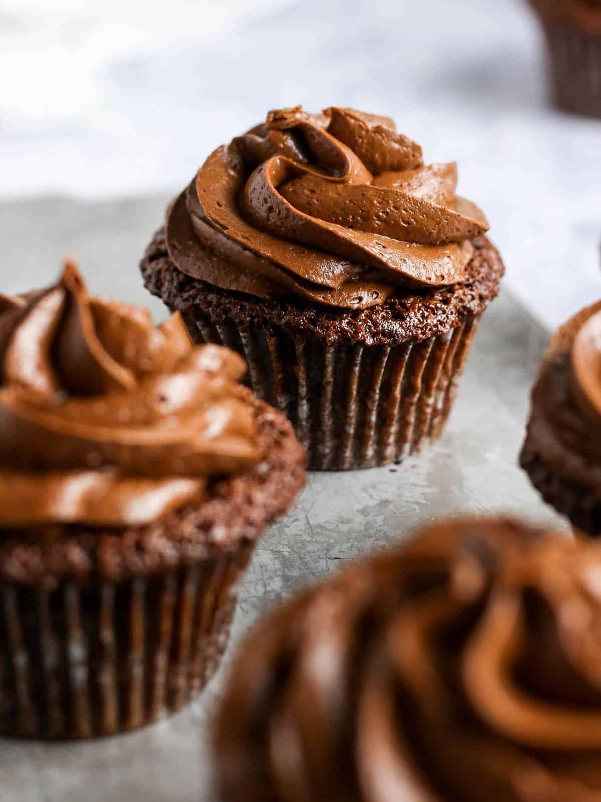 Chocolate Cupcakes topped with chocolate frosting. 