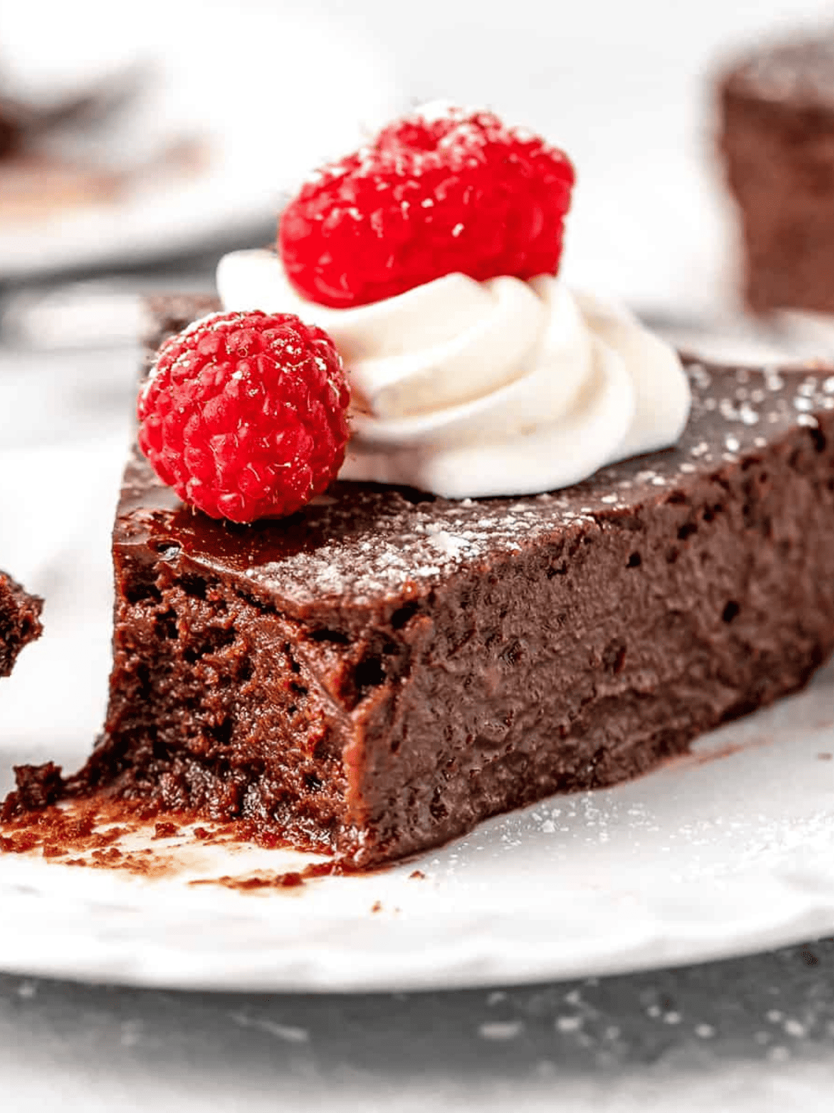 Fancy Dessert Flourless Chocolate Cake