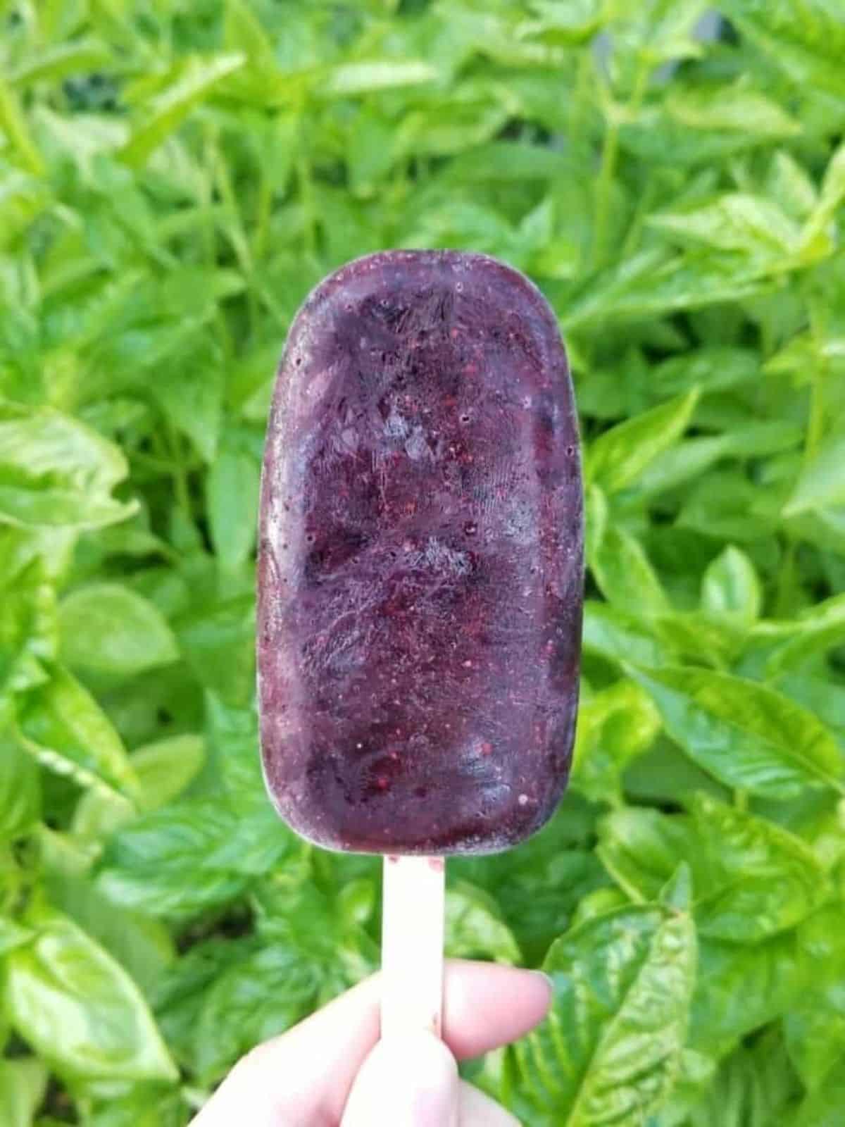 blueberry popsicle with a mild basil undertone.