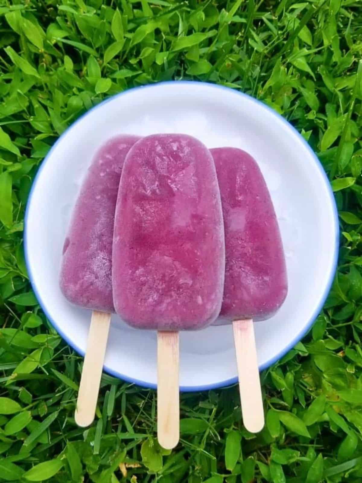 blueberry popsicles made with the flavors of coconut and cardamom, with a side kick of spicy ginger,