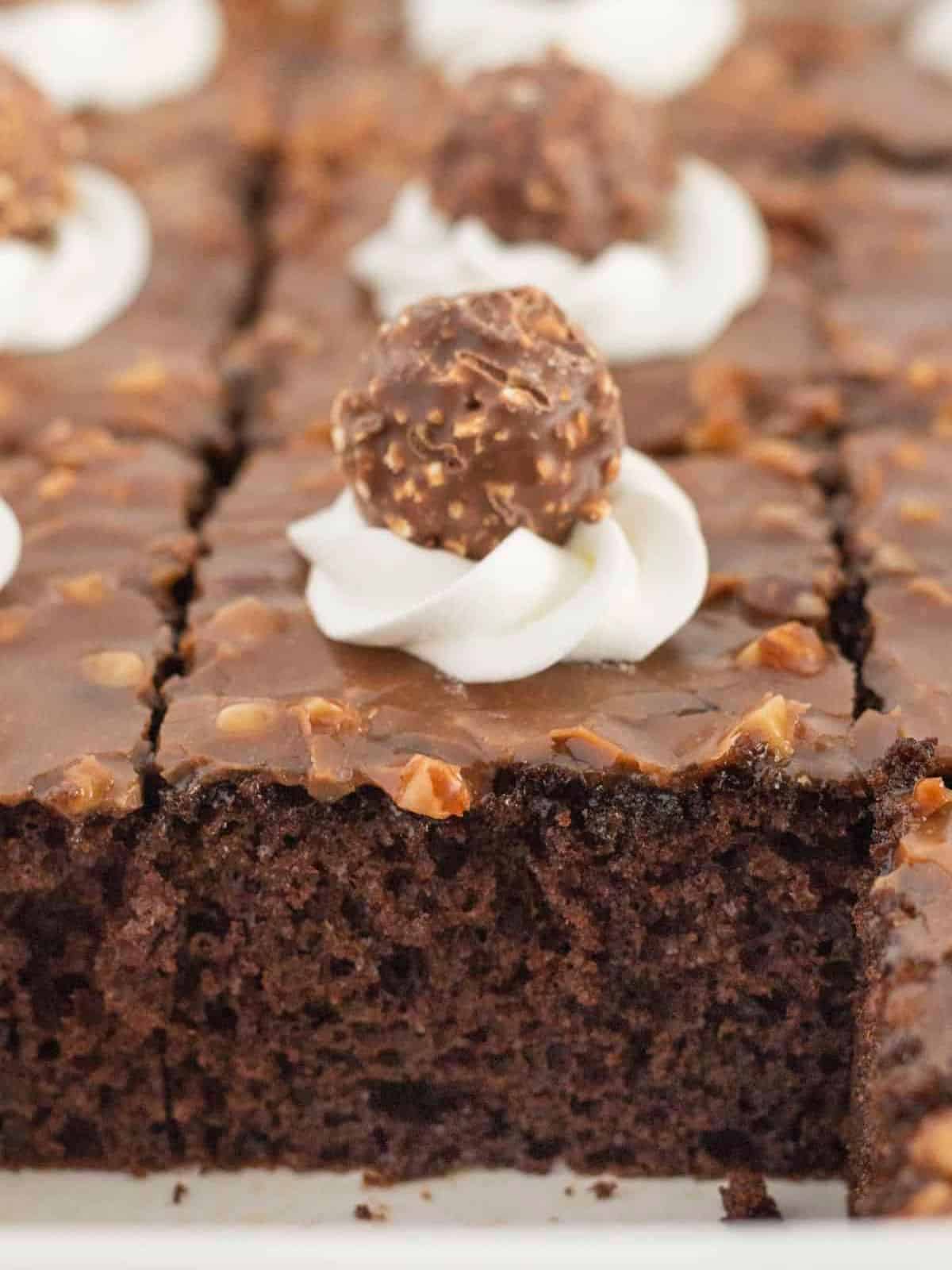 Ferrero Rocher cake made with a cake mix with an amazing chocolate hazelnut frosting.