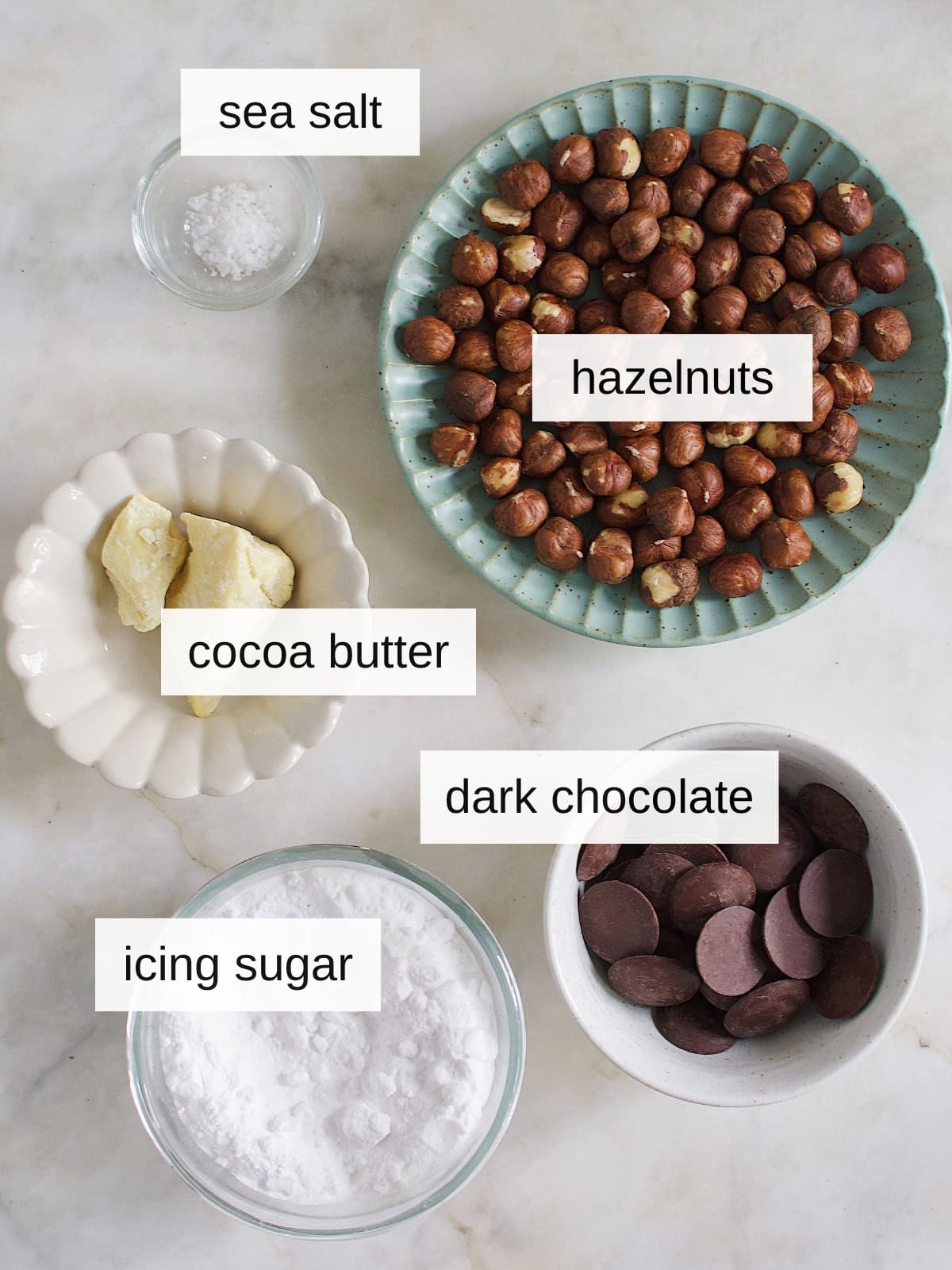 Ingredients for gianduja recipe including sea salt, hazelnuts, cocoa butter, dark chocolate, and icing sugar.