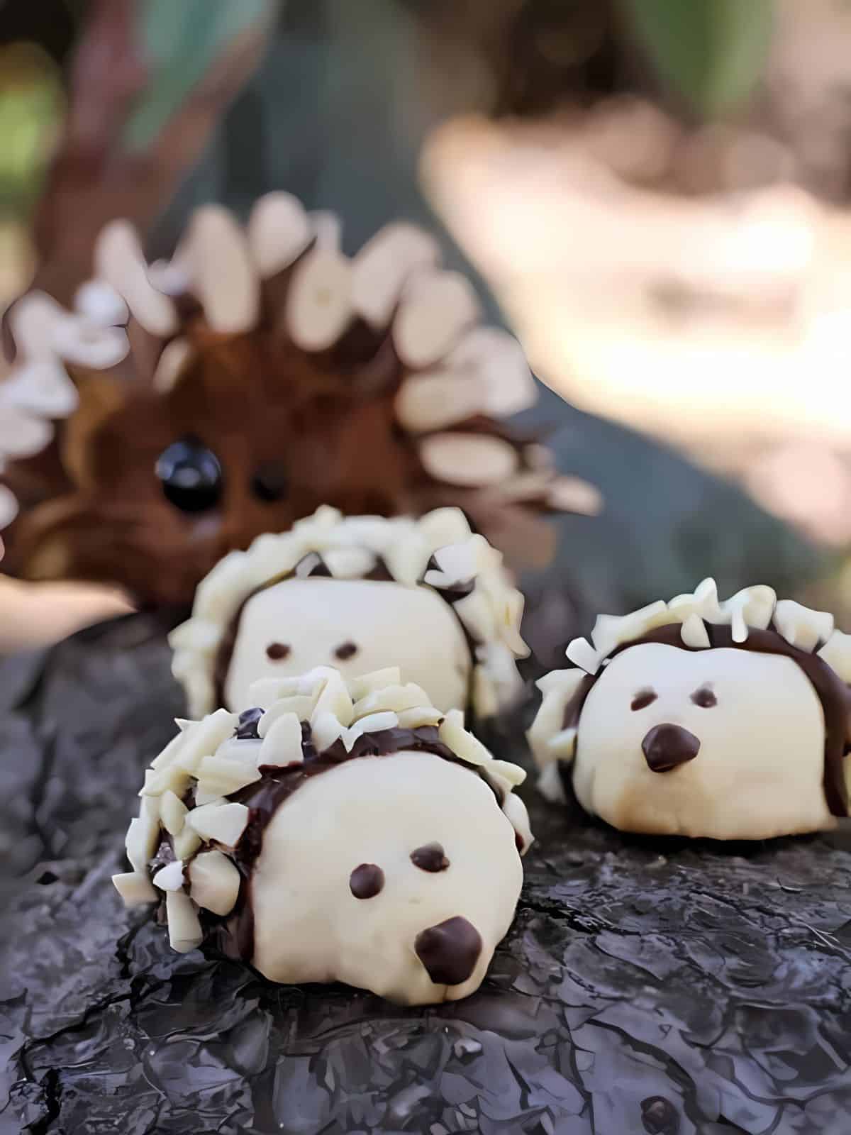 Hedgehog designed cookies.