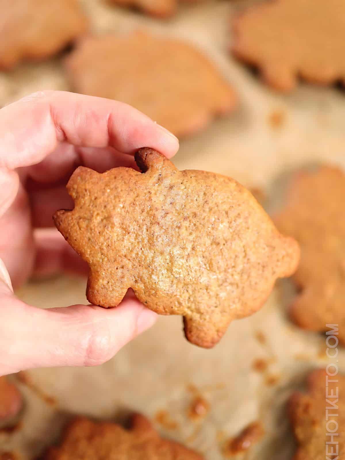 A person holding a pig shaped cookie.