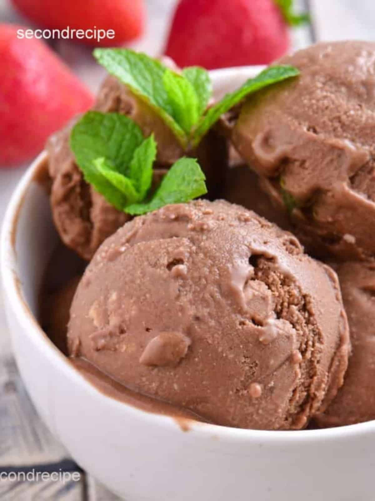 Scoops of chocolate peanut butter ice cream in a bowl topped with fresh herb.